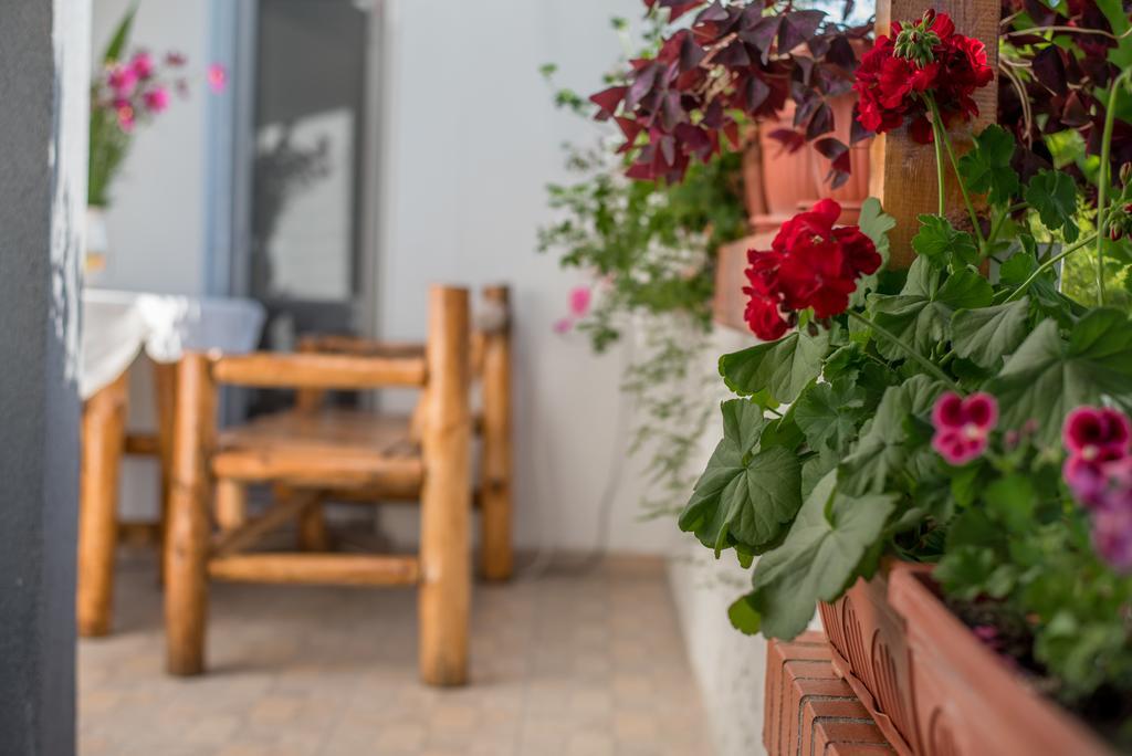 Guesthouse Juli Sapareva Banya Εξωτερικό φωτογραφία