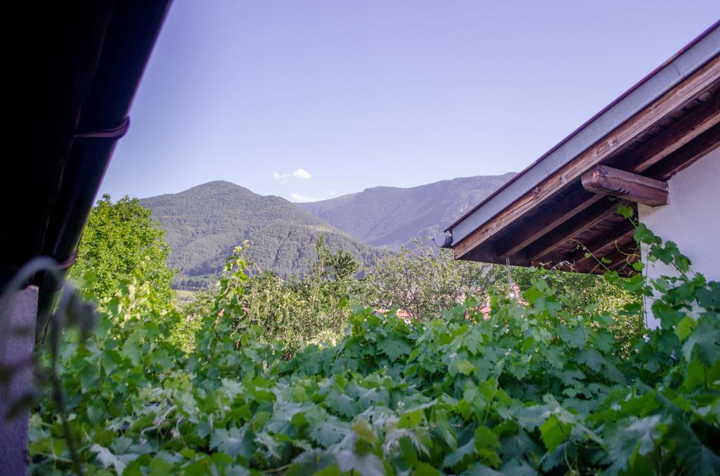 Guesthouse Juli Sapareva Banya Εξωτερικό φωτογραφία