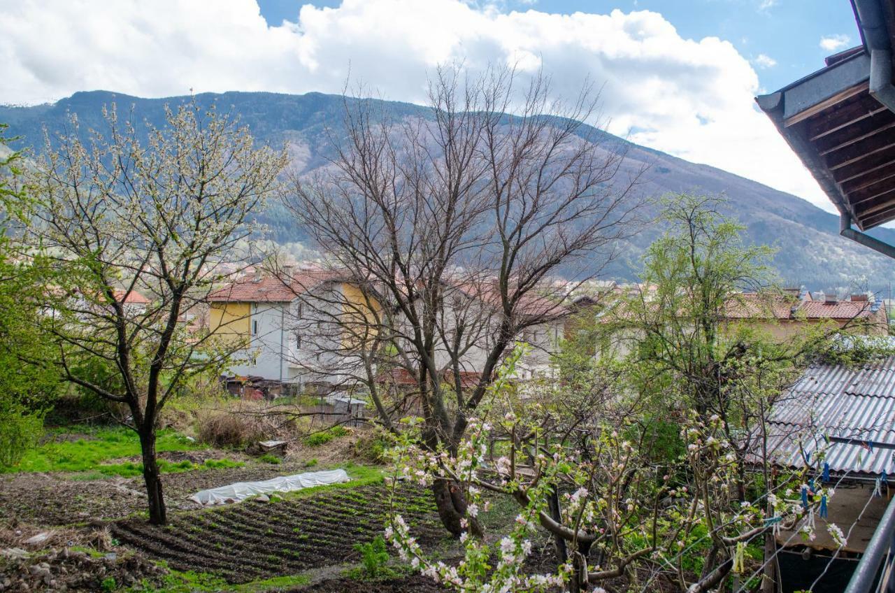 Guesthouse Juli Sapareva Banya Εξωτερικό φωτογραφία