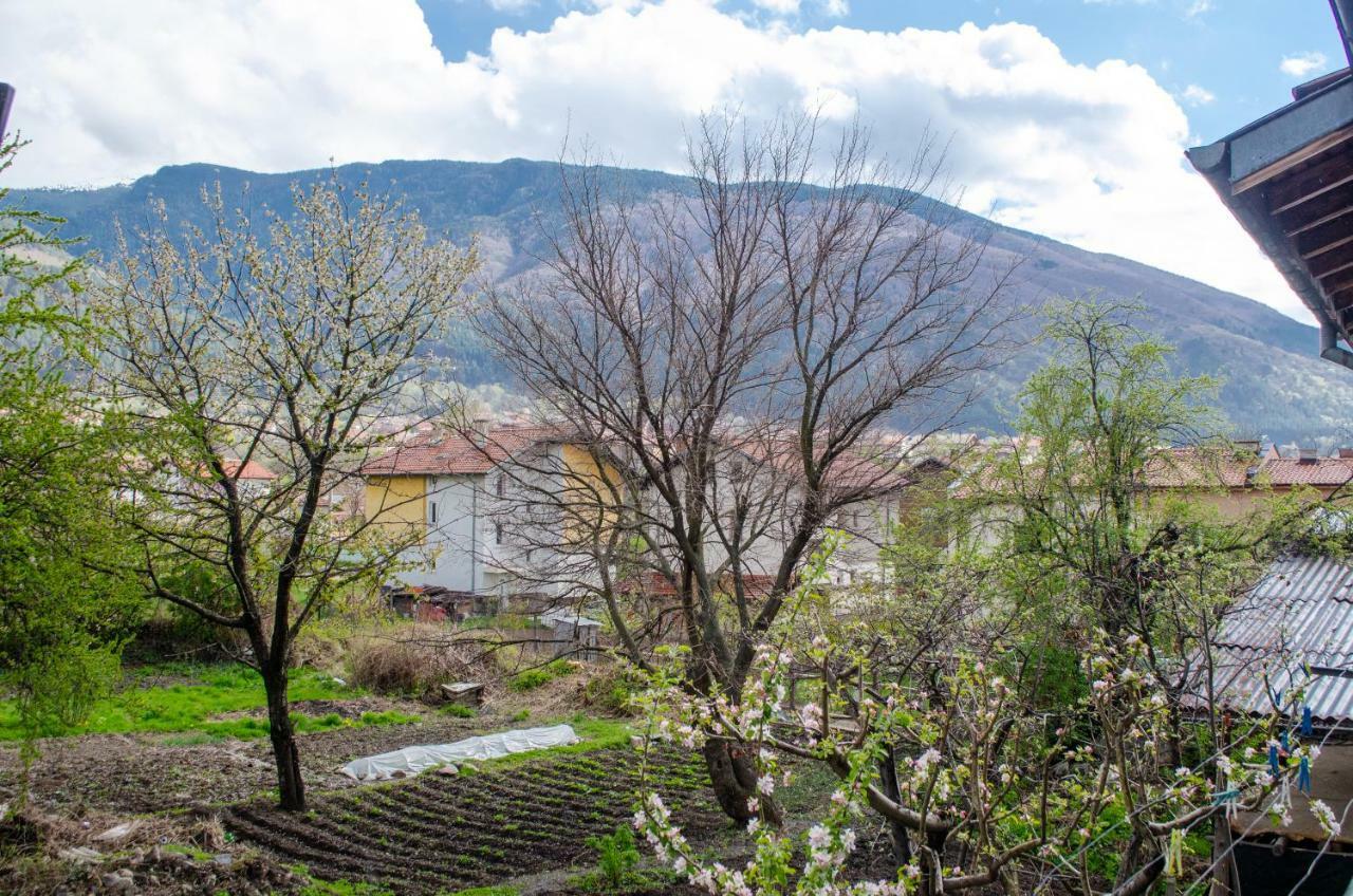 Guesthouse Juli Sapareva Banya Εξωτερικό φωτογραφία