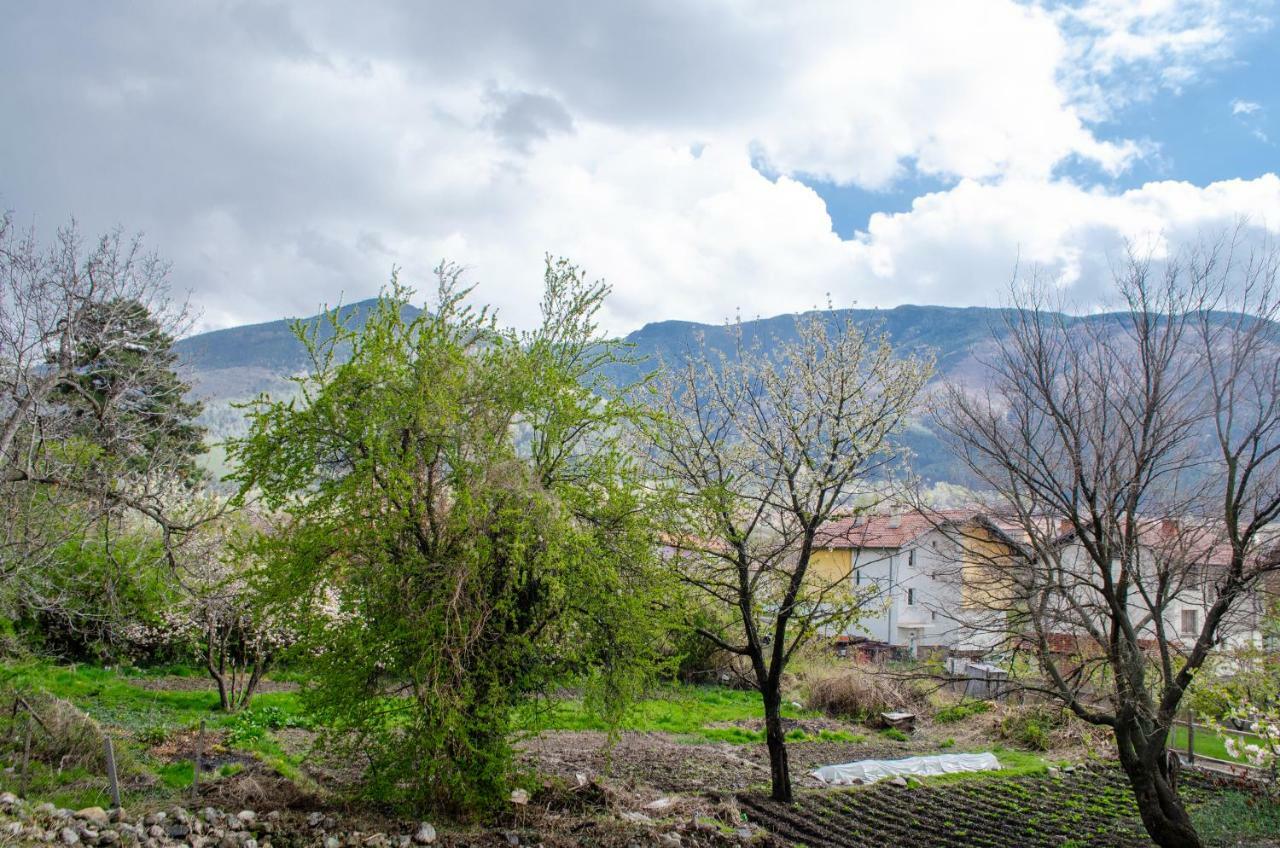 Guesthouse Juli Sapareva Banya Εξωτερικό φωτογραφία