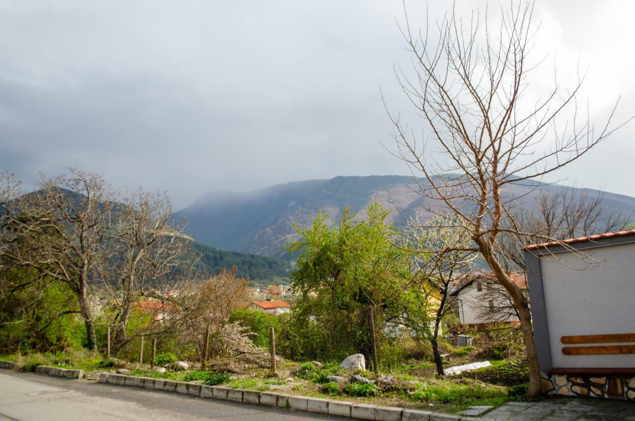 Guesthouse Juli Sapareva Banya Εξωτερικό φωτογραφία